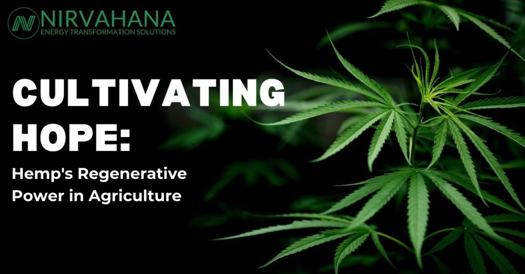 Cultivating Hope: Hemp’s Regenerative Power in Agriculture