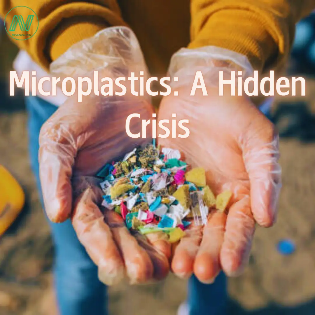 Microplastics: A Hidden Crisis